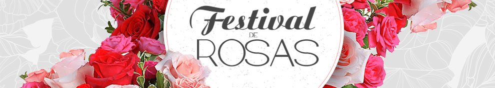 Festival de Rosas