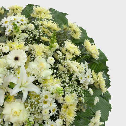 Coroa Flores Brancas Premium Média 1  GF01