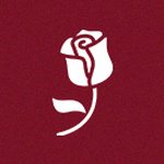 Imagem de Rosas