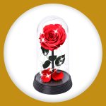 Imagem de A Bela Rosa Encantada Estrelada