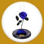 Imagem de A Rosa Encantada