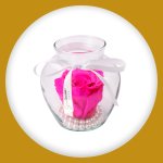 Imagem de Beleza de Rosas Encantadas