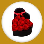 Imagem de Coração Encantado