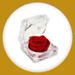 Imagem de Diamante de Mini Rosa Encantada
