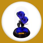 Imagem de Dueto de Rosas Encantadas