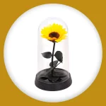 Imagem de Girassol Encantado