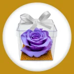 Imagem de Mini Box de Rosa Encantada