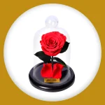 Imagem de Mini Rosa Encantada