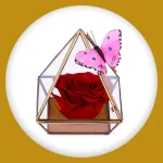 Imagem de Pirâmide de Rosa Encantada