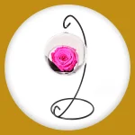 Imagem de Pêndulo de Rosa Encantada