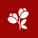 Imagem de Coleção Completa