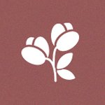 Imagem de Coleção Completa