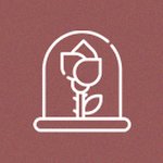 Imagem de Rosa Encantada