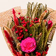 Imagem de Flores Secas