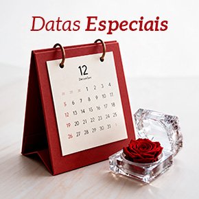 Floricultura-perto-de-mim