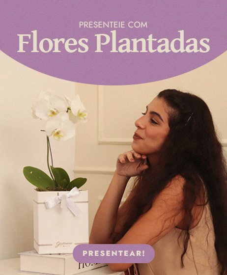 Flores Plantadas Dia da Mulher