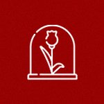 Imagem de Rosa Encantada