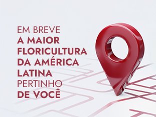 Loja Boutique Campinas