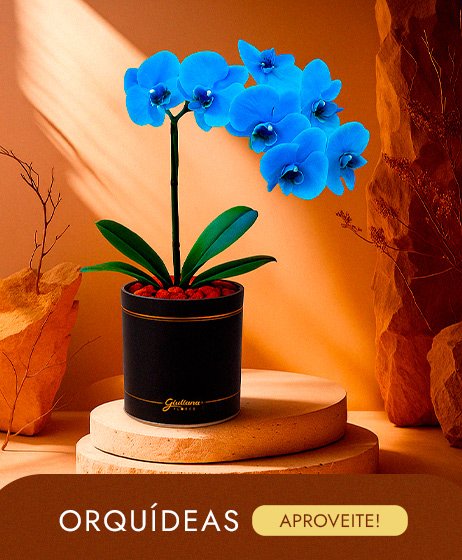 Orquídea para Pai