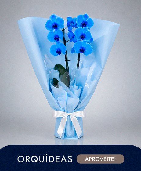 Orquídea para Pai