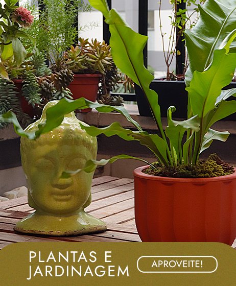 Plantas e Jardinagem