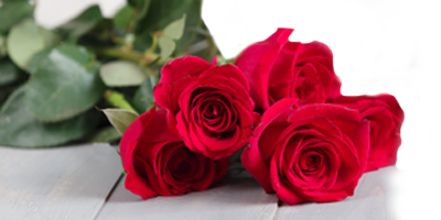 Ramalhete de Flores