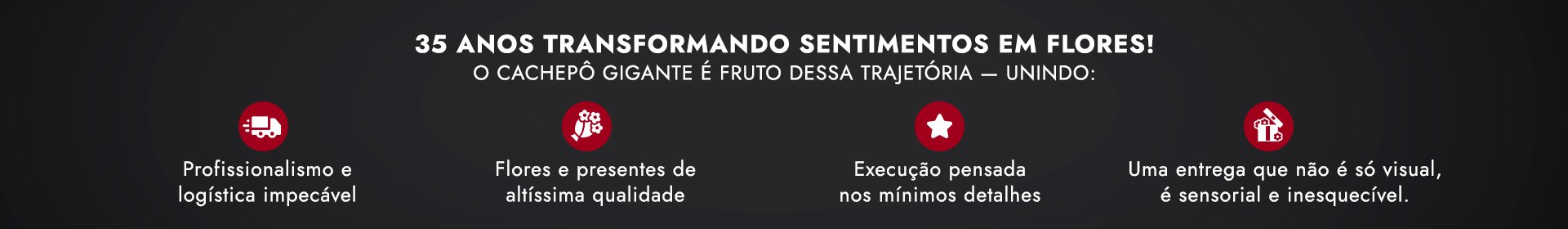 Cachepô Gigante middle