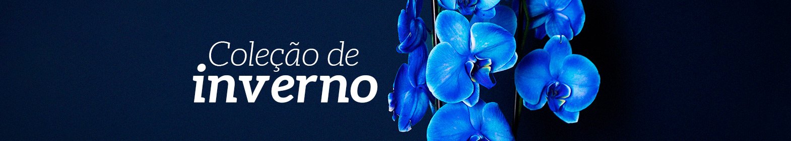 Flores de Inverno