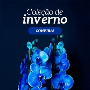 Presentes de Inverno