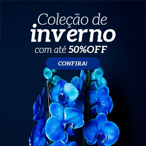Presentes de Inverno
