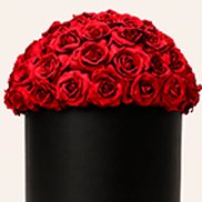 Imagem de Cachepô Gigante