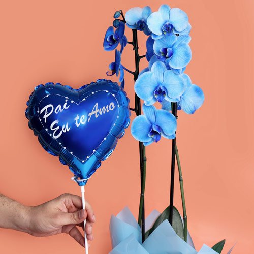 Orquídea Azul Presente