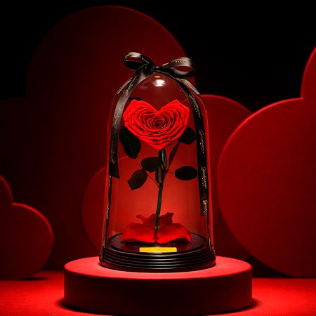 Buquê de Rosas Vermelhas para o Valentine's Day