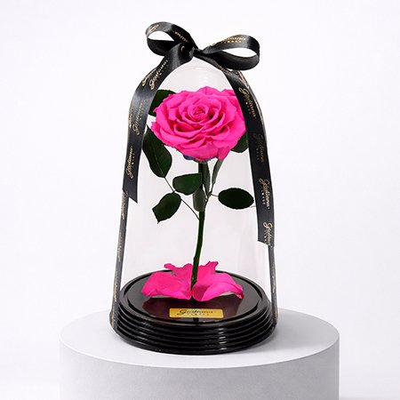 A Rosa Encantada Presente