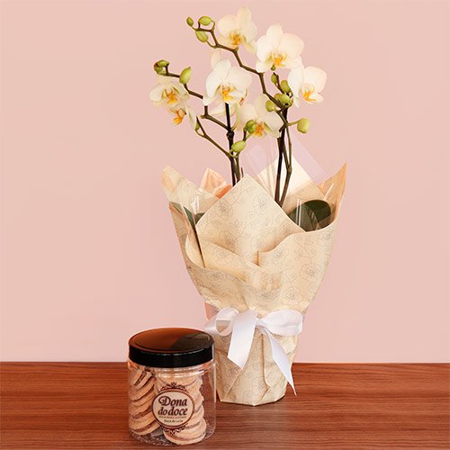 Kit de orquídea e biscoito com desconto na semana do cliente