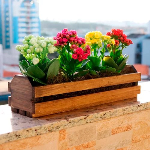 Flores plantadas coloridas com frete gratis na seman do cliente