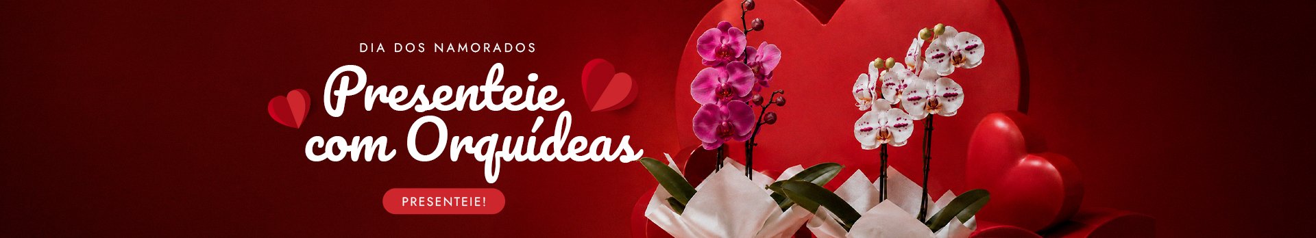 Orquídeas Namorados R$ 90 OFF - Super