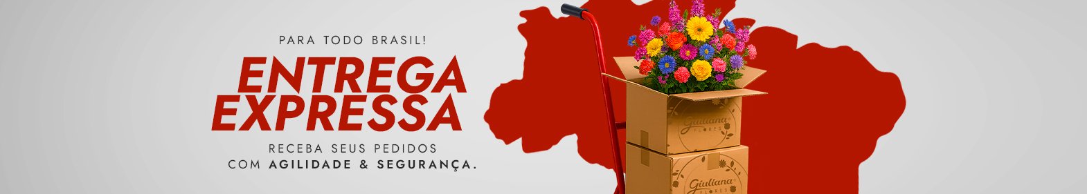 Entrega no Mesmo Dia