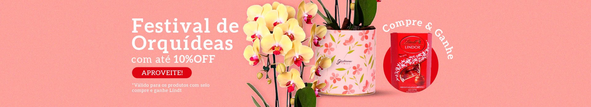 Orquídeas até 10% e Brinde - Super
