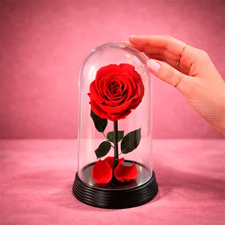 Dia da Mulher Presentes