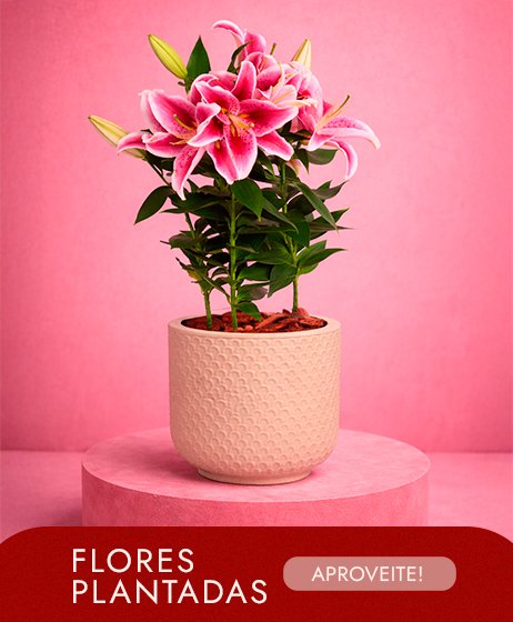 Flores Plantadas Dia da Mulher