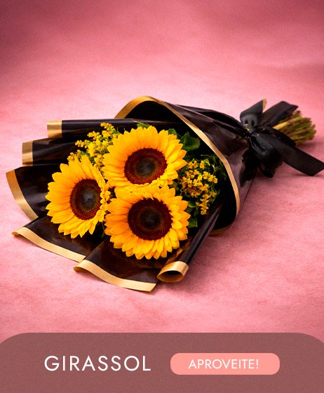 Girassol