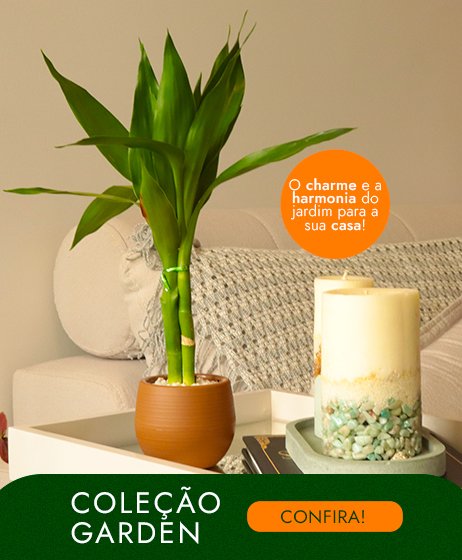 Coleção Garden