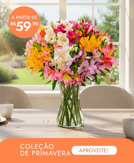 Coleção Primavera