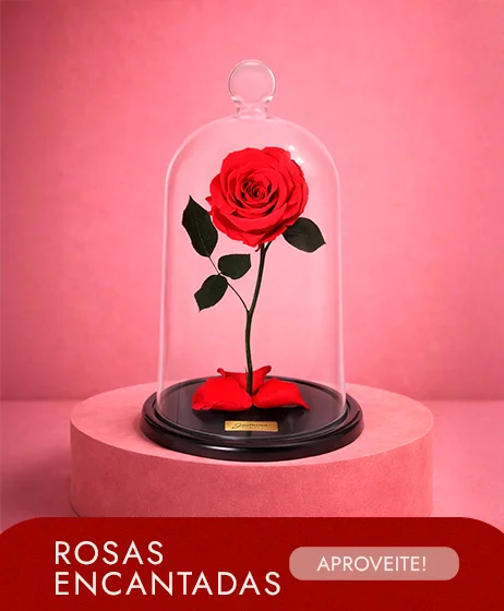 Rosas Encantadas