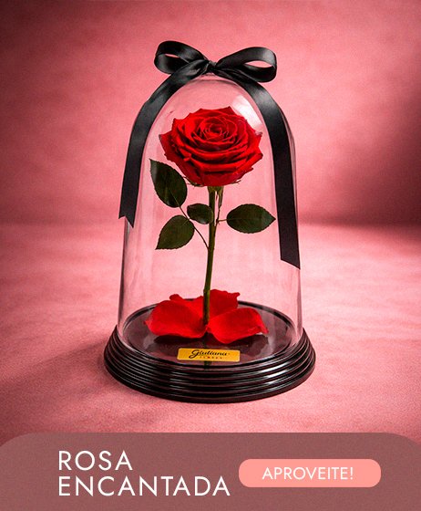 Rosa Encantada
