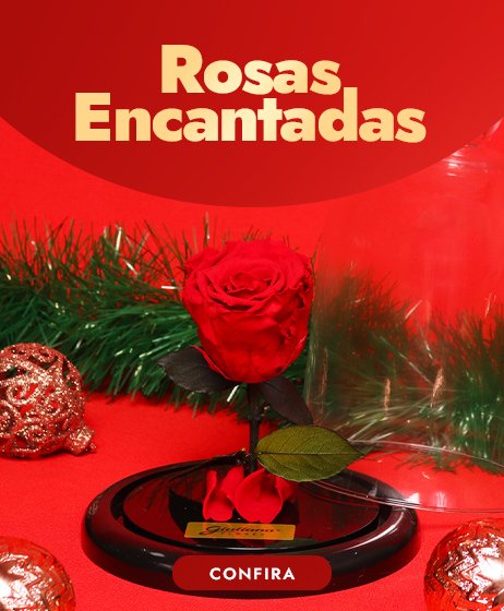 Rosas Encantadas de Natal