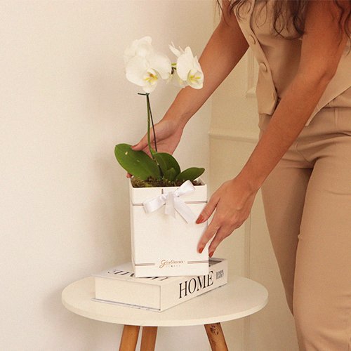 Presentes especiais para o Dia da Mulher