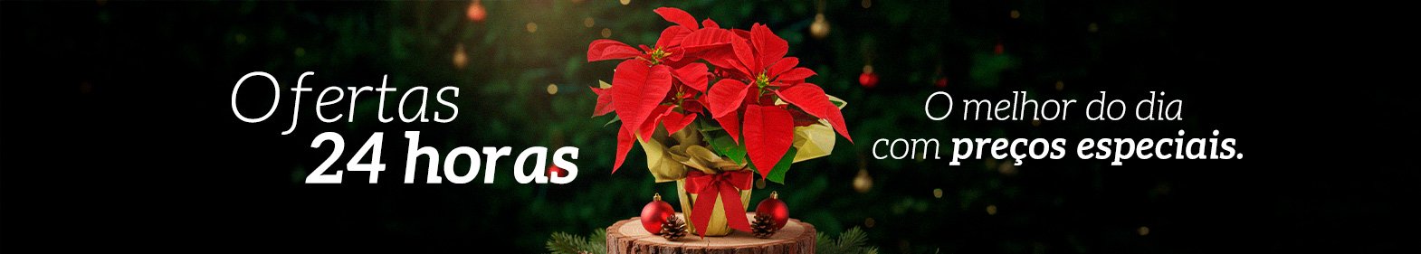 Flores e presentes com até 70% de Desconto