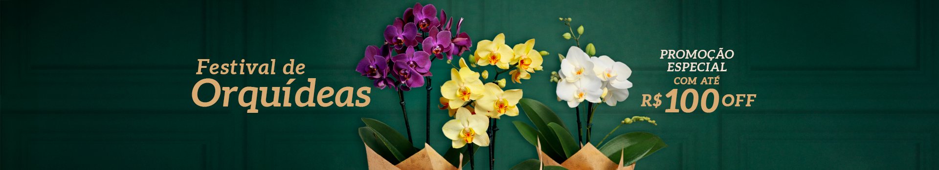 Orquídeas - Super